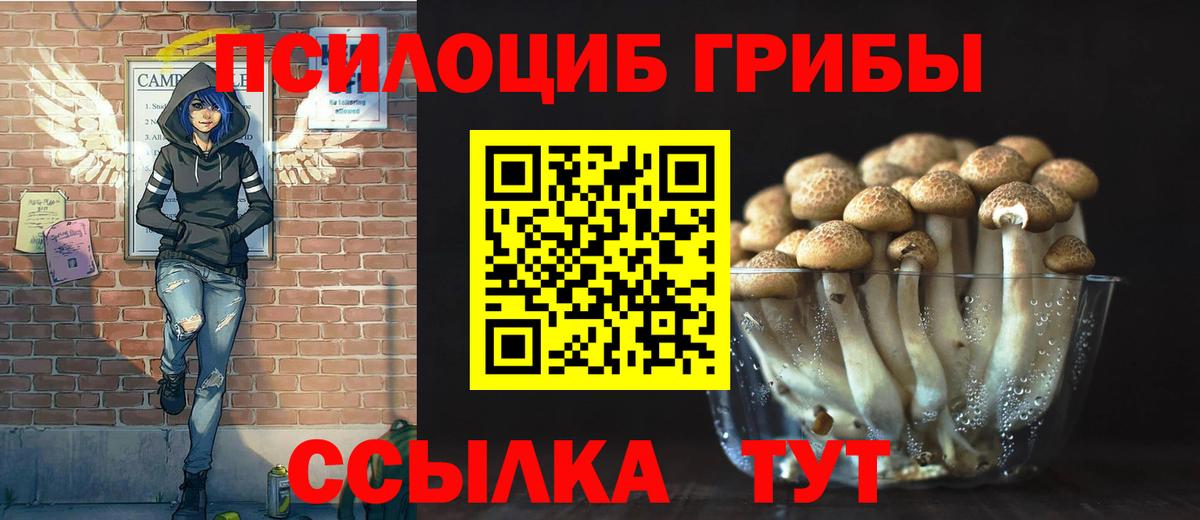 Галлюциногенные грибы MAGIC MUSHROOMS Челябинск