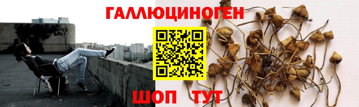 Галлюциногенные грибы Cubensis  Челябинск 